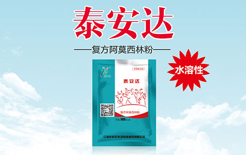 泰安达 复方阿莫西林粉